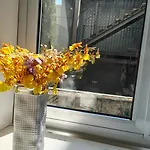 Apartment Domus 21 - Entreparedes Porto
