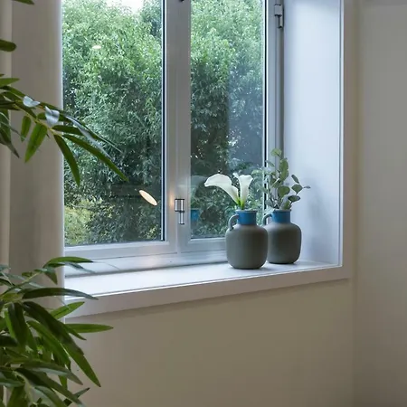 Apartment Domus 21 - Entreparedes