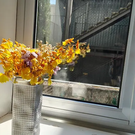 Apartmán Domus 21 - Entreparedes Porto